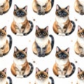Seamless Pattern of Watercolor Siamese Cats on White Background Royalty Free Stock Photo