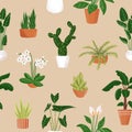 Repeating wallpaper with houseplants print. Home flowers in flowerpot. Floral pattern on wrapping. Cactus, orchid, ficus Royalty Free Stock Photo