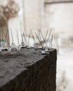 Repellent metal spikes installed over cornice of historic building