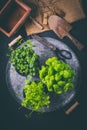 Replanting herbs - plants in pots, green garden on a balcony Royalty Free Stock Photo