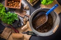 Replanting plants - herbs, flowers and plants in pots, green garden on a balcony Royalty Free Stock Photo