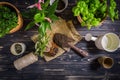 Replanting plants - herbs, flowers and plants in pots, green garden on a balcony Royalty Free Stock Photo