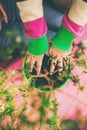 Replanting potted plant. The child plants flowers. Royalty Free Stock Photo