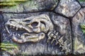 Replica of ancient fish fossil on stone wall of children`s paleantological museum. Tyrannosaurus skeleton Royalty Free Stock Photo