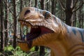Replica of the dinosaur head in Dino Park, Portugal, in real size