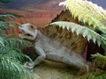 Replica of fierce Pelicossauro Dimetrodon