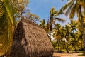 Replica of a Hawaiian Palm Thatch Halau