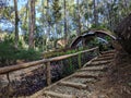 Replica of the hobbit house in the forest, located in Yogyakarta, Indonesia