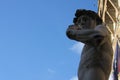 Replica of Michelangelo`s David statue against blue sky, Florence, Italy Royalty Free Stock Photo