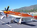Replica P-51 Mustang Royalty Free Stock Photo