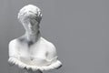 Replica Roman Bust of Antonia, noble young woman, daughter of Mark Antony. The original work is in the holdings of the