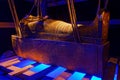 Replicas of the sarcophagus and coffin of Tutankhamun
