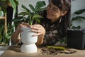 Repotting a home plant Philodendron Dragon Tail into a new pot in home interior. Caring for a potted plant, hands close-up