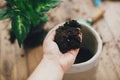 Repotting plant concept. Dirty hand holding new soil at empty new pot and gardening stylish tools, green plant on wooden floor.