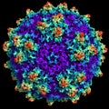 Representation of an Adenovirus particle Royalty Free Stock Photo