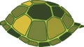 Representation of a turtle s carapace with clean lines and solid Royalty Free Stock Photo