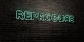 REPRODUCE -Realistic Neon Sign on Brick Wall background - 3D rendered royalty free stock image