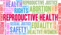 Reproductive Health Word Cloud