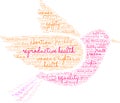 Reproductive Health Word Cloud