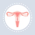 Reproductive system anatomy female uterus, cervix, ovary, fallopian tube icon healthcare medical service logo medicine