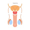 Reproductive system concept Royalty Free Stock Photo