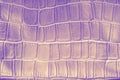 Reptil animal skin ornamentn on fabric. Crocodile skin surface texture made from artificial leather Royalty Free Stock Photo