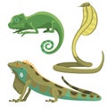 Reptile and amphibian colorful fauna vector illustration reptiloid predator reptiles animals. Royalty Free Stock Photo