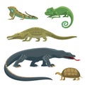 Reptile and amphibian colorful fauna vector illustration reptiloid predator reptiles animals.