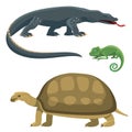 Reptile and amphibian colorful fauna vector illustration reptiloid predator reptiles animals. Royalty Free Stock Photo