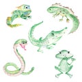 Reptile and amphibians set. Cute frog, snake, iguana, crocodile and newt isolated on white background. Watercolor hand