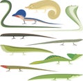 Reptile Cartoon Reptiles types set