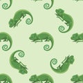 Reptile chameleon amphibian seamless pattern colorful fauna vector illustration reptiloid predator reptiles animals. Royalty Free Stock Photo