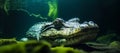 reptile crocodile underwater generative ai