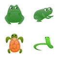 Reptile icons set cartoon . Tropical fauna