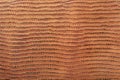 Brown reptile leather background Royalty Free Stock Photo