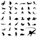 reptile silhouettes Royalty Free Stock Photo
