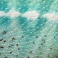 Reptile skin Royalty Free Stock Photo