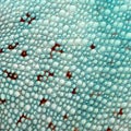 Reptile skin Royalty Free Stock Photo