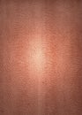 Reptile Skin Leather Royalty Free Stock Photo