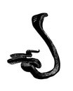 Reptile snake or serpent. Black vector isolated on white background. Hand drawn illustration.