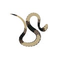Reptile snake or serpent flat vector icon for animal apps and websites Royalty Free Stock Photo