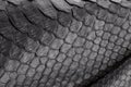 Reptile snake texture closeup, fashion zigzag snakeskin python picture.