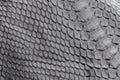 Reptile snake texture closeup, fashion zigzag snakeskin python picture. Royalty Free Stock Photo