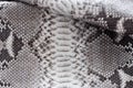 Reptile snake texture closeup, fashion zigzag snakeskin python picture. Royalty Free Stock Photo