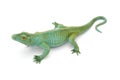 Reptile toy Royalty Free Stock Photo