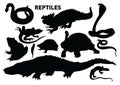 Reptiles