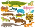 Reptiles and amphibians. Cartoon frog, chameleon, crocodile, lizard and turtle, wildlife animals vector illustration set