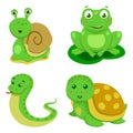 Reptiles And Amphibians Decorative Set in cartoon style isolated vector illustration Royalty Free Stock Photo