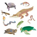 Reptiles and amphibians decorative set of cobra crocodile turtle snail scorpion crab icons in cartoon style isolated Royalty Free Stock Photo