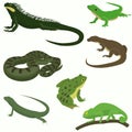 Reptiles and amphibians decorative set icons Royalty Free Stock Photo